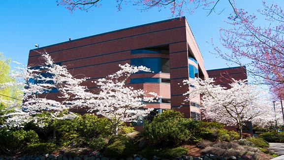 McKenna Hall on the Seattle Pacific University campus in spring with cherry blossoms in bloom.